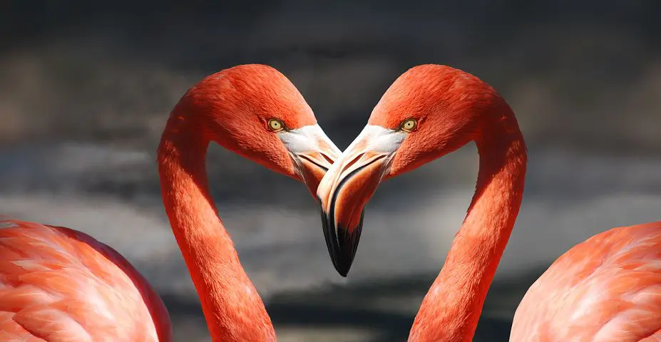 Soulmates