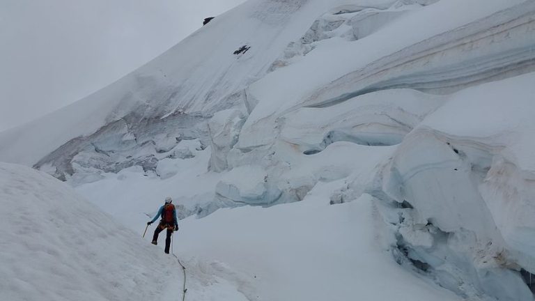 Teaming up with a Sherpa to Climb the Entrepreneurial Mountain