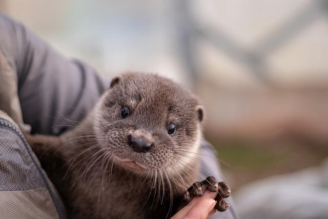 Have You Heard the Word? Otter.AI Has Your Back!